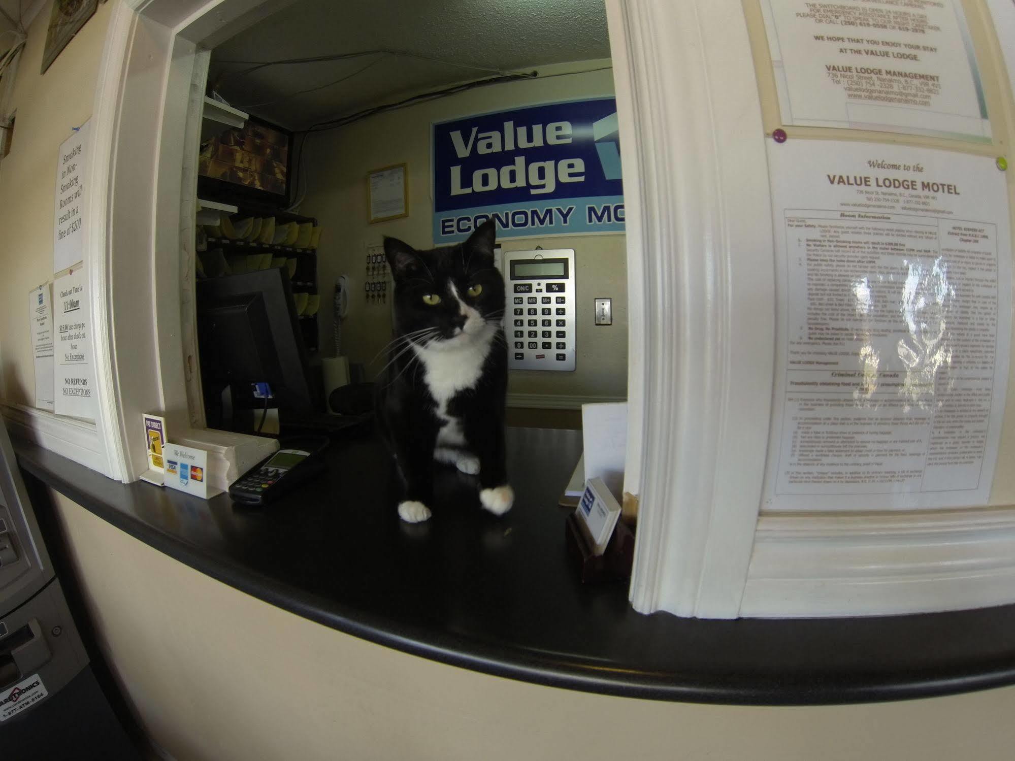 Value Lodge Motel Nanaimo Luaran gambar